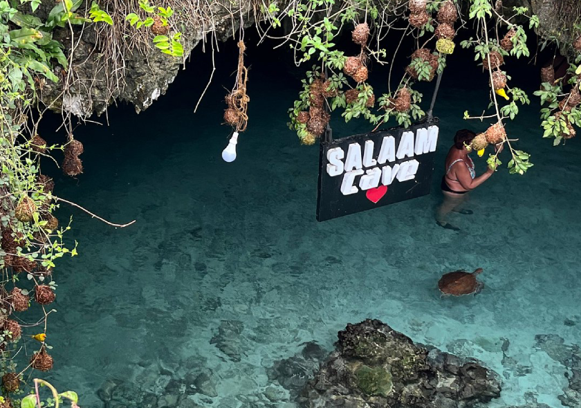 Private Swim with Turtles at Salaam Cave Zanzibar