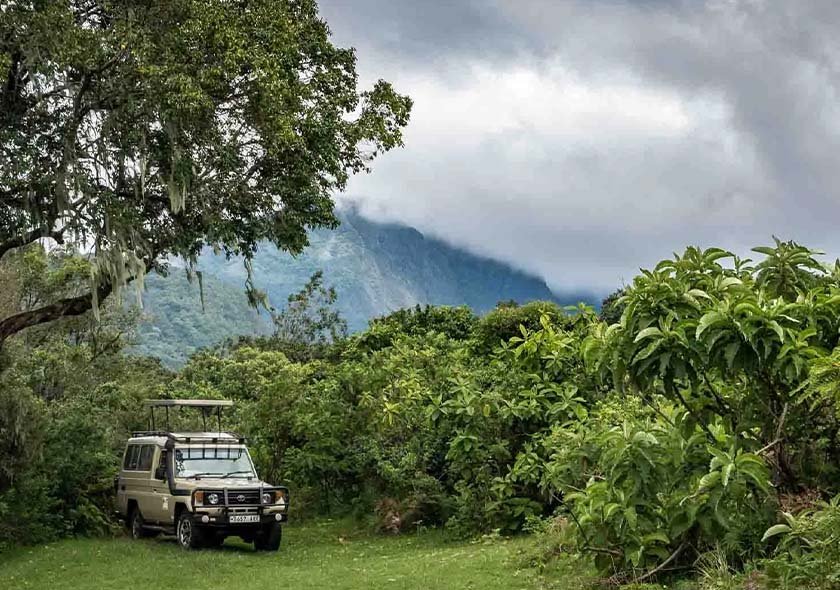 Rongai Route - 9 Days Kilimanjaro Climbing