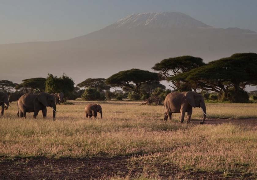 Umbwe Route - 8 Days Kilimanjaro Climbing