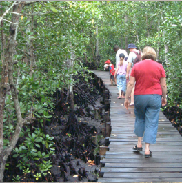 Vibes Tours Zanzibar